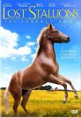 Subtitrare  Lost Stallions: The Journey Home