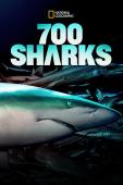 Film 700 requins dans la nuit