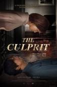 Subtitrare  The Culprit (Jinbeom) 1080p
