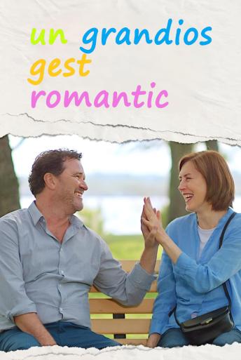 Subtitrare A Grand Romantic Gesture