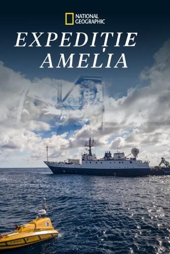 Subtitrare  Expedition Amelia