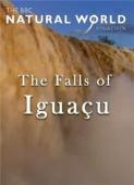 Subtitrare  The Falls of Iguaçu HD 720p