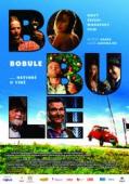 Subtitrare  Bobule DVDRIP XVID