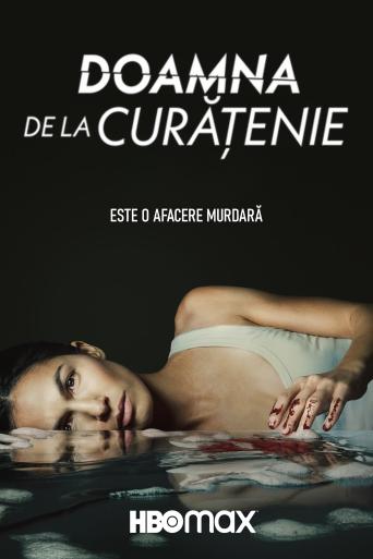 Subtitrare The Cleaning Lady - Sezonul 1