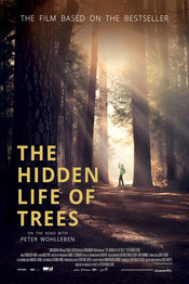 Subtitrare The Hidden Life of Trees (Das geheime Leben der Bä