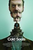 Subtitrare  Cold Souls  DVDRIP XVID