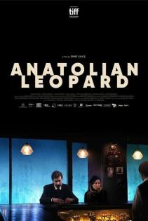 Subtitrare  Anadolu Leopari (Anatolian Leopard)