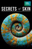 Subtitrare Secrets of Skin - TV Mini-Series