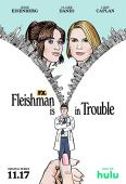 Subtitrare Fleishman Is in Trouble - First Season