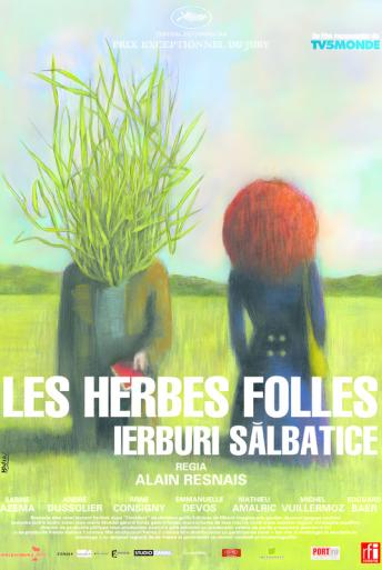 Subtitrare  Wild Grass (Les herbes folles) DVDRIP