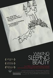 Subtitrare Waking Sleeping Beauty