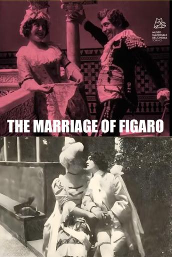 Subtitrare  The Marriage of Figaro (Il matrimonio di Figaro) DVDRIP