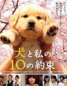 Subtitrare  10 Promises to My Dog DVDRIP XVID