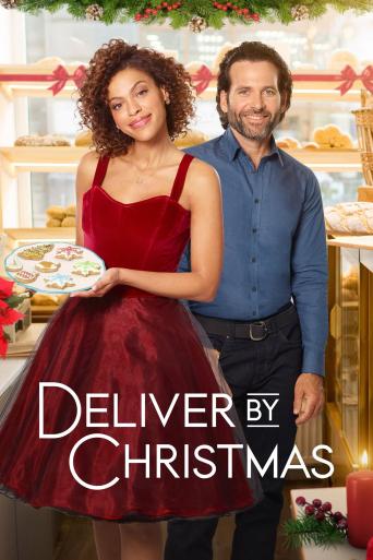 Subtitrare  Deliver by Christmas