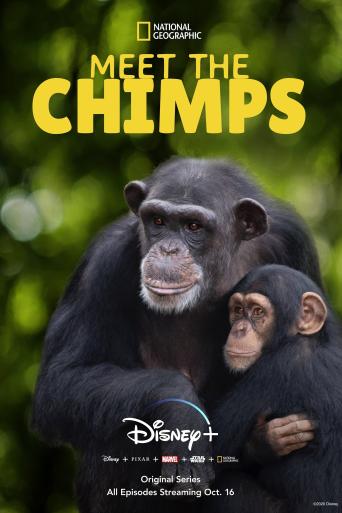 Subtitrare  Meet the Chimps - Sezonul 1