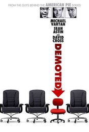 Subtitrare  Demoted DVDRIP HD 720p 1080p XVID