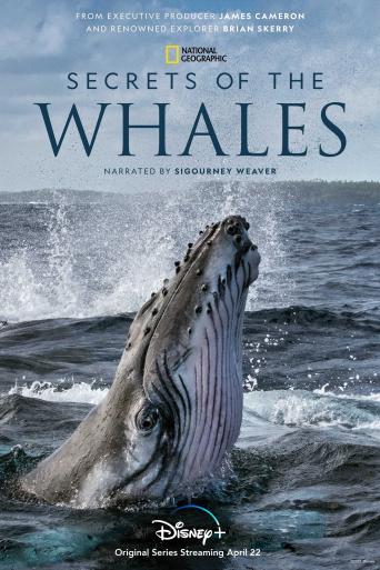 Subtitrare  Secrets of the Whales - TV Mini-Series HD 720p 1080p