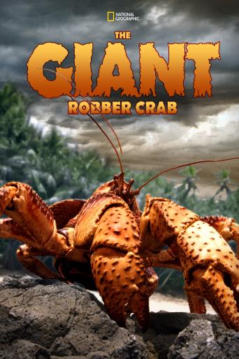 Subtitrare The Giant Robber Crab