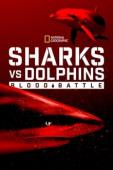Subtitrare Sharks vs. Dolphins: Blood Battle