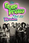 Subtitrare  The Fresh Prince of Bel-Air Reunion HD 720p 1080p