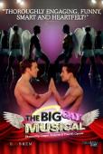 Subtitrare  The Big Gay Musical