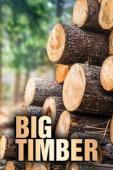 Subtitrare  Big Timber - Sezonul 1