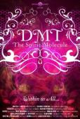 Subtitrare  DMT: The Spirit Molecule