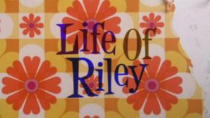 Subtitrare  Life of Riley (2009) XVID