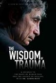 Subtitrare The Wisdom of Trauma