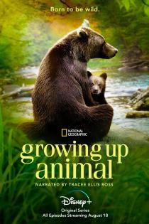Subtitrare Growing Up Animal - Sezonul 1