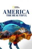 Subtitrare  America the Beautiful - Sezonul 1