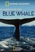 Subtitrare  Kingdom of the Blue Whale