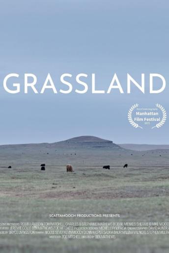Subtitrare  Grassland