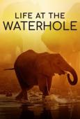 Subtitrare  Life at the Waterhole - Season 1 HD 720p 1080p