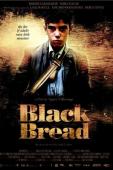 Subtitrare Pa negre (Black Bread)