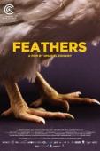 Subtitrare Feathers (Plumes)