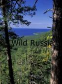 Subtitrare  Wild Russia XVID