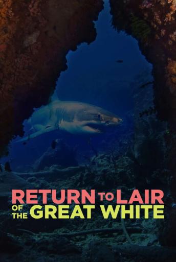 Subtitrare  Return to the Lair of the Great White