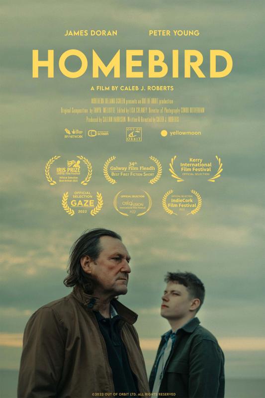 Subtitrare  Homebird
