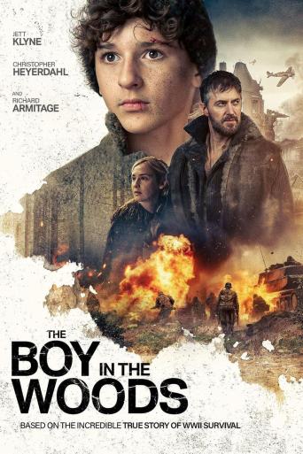 Subtitrare The Boy in the Woods