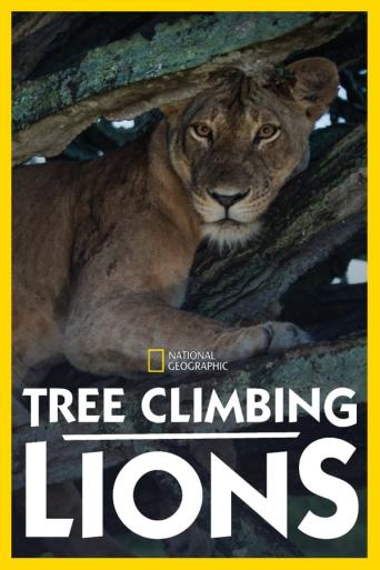 Subtitrare  Tree Climbing Lions (Baumlöwen)