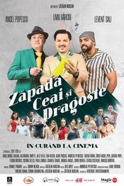 Subtitrare  Zăpadă, Ceai și Dragoste (Snow, Tea and Love)