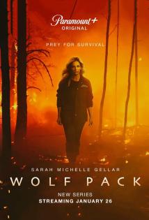 Subtitrare Wolf Pack - Sezonul 1