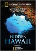 Subtitrare  Hidden Hawaii XVID