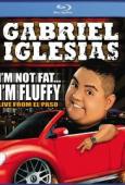 Subtitrare  Gabriel Iglesias: I'm Not Fat... I'm Fluffy HD 720p