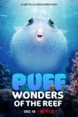 Subtitrare  Puff: Wonders of the Reef