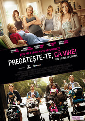 Subtitrare  What to Expect When You're Expecting DVDRIP
