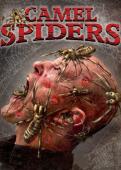 Subtitrare  Camel Spiders DVDRIP XVID