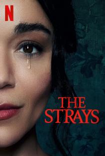 Subtitrare  The Strays