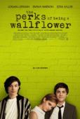 Subtitrare The Perks of Being a Wallflower